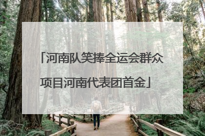 河南队笑捧全运会群众项目河南代表团首金