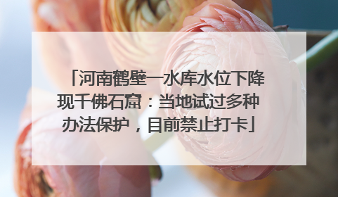 河南鹤壁一水库水位下降现千佛石窟：当地试过多种办法保护，目前禁止打卡