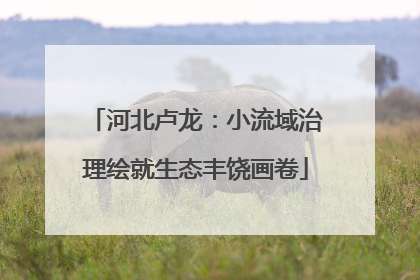 河北卢龙：小流域治理绘就生态丰饶画卷