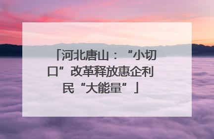 河北唐山：“小切口”改革释放惠企利民“大能量”