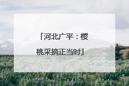 河北广平：樱桃采摘正当时