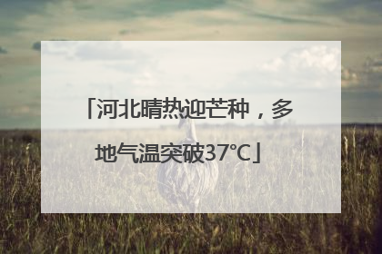河北晴热迎芒种，多地气温突破37℃