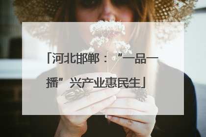 河北邯郸：“一品一播”兴产业惠民生