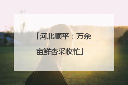 河北顺平：万余亩鲜杏采收忙
