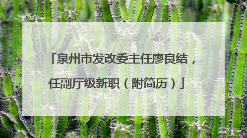 泉州市发改委主任廖良结，任副厅级新职（附简历）