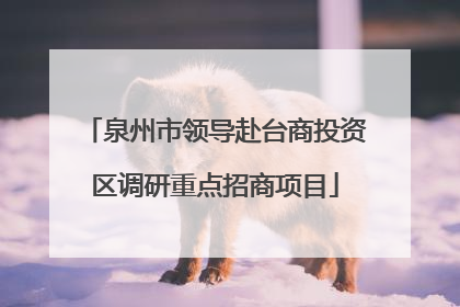 泉州市领导赴台商投资区调研重点招商项目