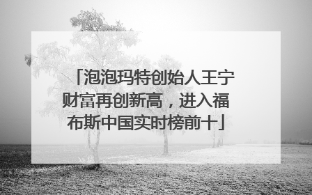 泡泡玛特创始人王宁财富再创新高，进入福布斯中国实时榜前十