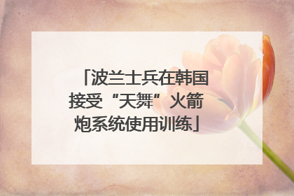 波兰士兵在韩国接受“天舞”火箭炮系统使用训练