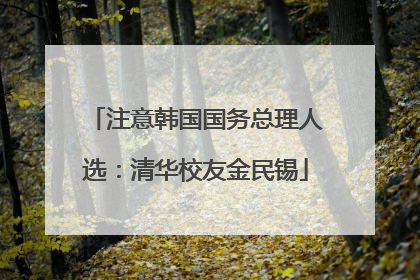 注意韩国国务总理人选：清华校友金民锡