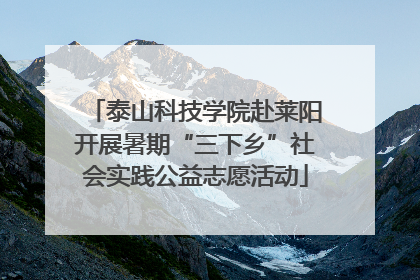 泰山科技学院赴莱阳开展暑期“三下乡”社会实践公益志愿活动