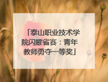 泰山职业技术学院闪耀省赛：青年教师勇夺一等奖