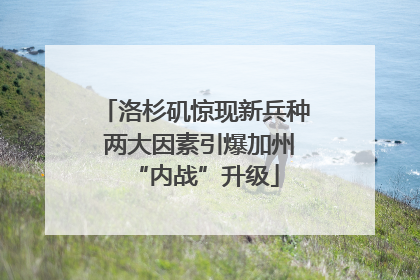 洛杉矶惊现新兵种 两大因素引爆加州“内战”升级