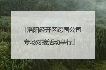 洛阳经开区跨国公司专场对接活动举行