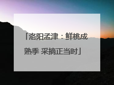 洛阳孟津：鲜桃成熟季 采摘正当时