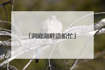 洞庭湖畔造船忙