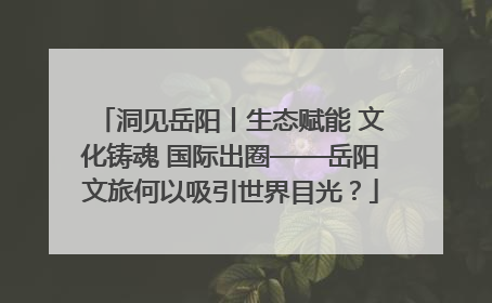 洞见岳阳丨生态赋能 文化铸魂 国际出圈——岳阳文旅何以吸引世界目光？