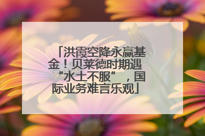 洪霞空降永赢基金！贝莱德时期遇“水土不服”，国际业务难言乐观