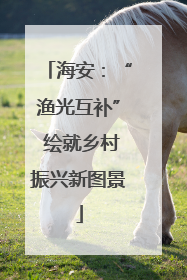 海安：“渔光互补” 绘就乡村振兴新图景