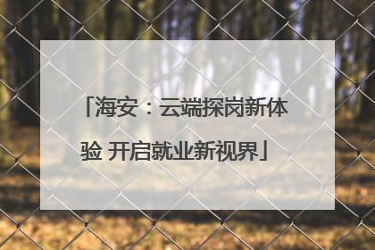 海安：云端探岗新体验 开启就业新视界