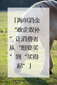 海尔消金“政企双补”让消费者从“想要买”到“买得起”