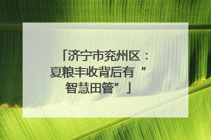 济宁市兖州区：夏粮丰收背后有“智慧田管”
