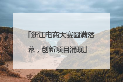 浙江电商大赛圆满落幕，创新项目涌现