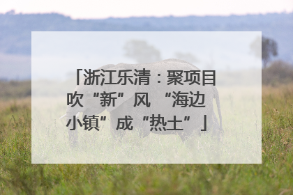 浙江乐清：聚项目吹“新”风 “海边小镇”成“热土”