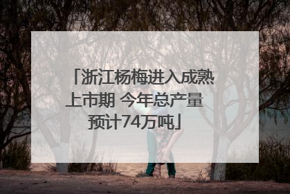 浙江杨梅进入成熟上市期 今年总产量预计74万吨