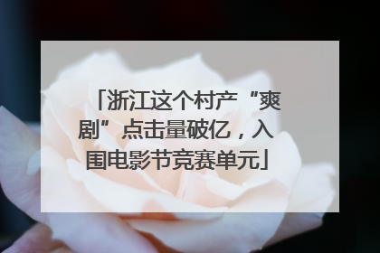 浙江这个村产“爽剧”点击量破亿，入围电影节竞赛单元