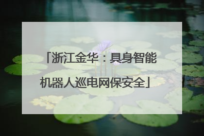 浙江金华：具身智能机器人巡电网保安全