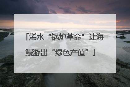浠水“锅炉革命”让海鳗游出“绿色产值”