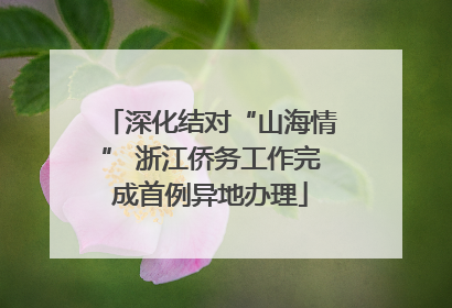 深化结对“山海情” 浙江侨务工作完成首例异地办理