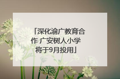 深化渝广教育合作 广安树人小学将于9月投用