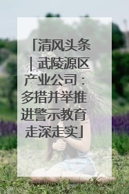 清风头条｜武陵源区产业公司：多措并举推进警示教育走深走实