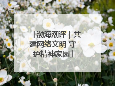渤海潮评｜共建网络文明 守护精神家园