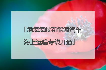 渤海海峡新能源汽车海上运输专线开通