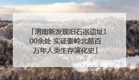 渭南新发现旧石器遗址100余处 实证秦岭北麓百万年人类生存演化史