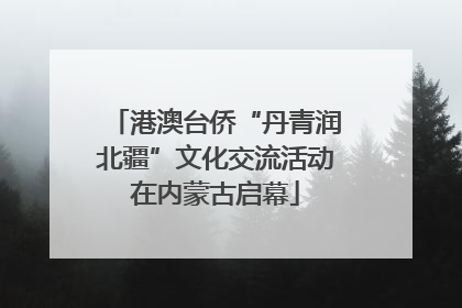 港澳台侨“丹青润北疆”文化交流活动在内蒙古启幕