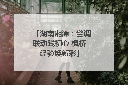 湖南湘潭：警调联动践初心 枫桥经验焕新彩