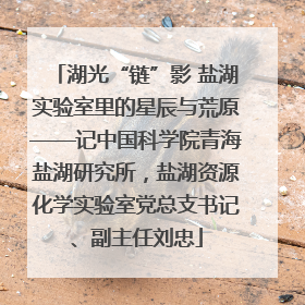 湖光“链”影 盐湖实验室里的星辰与荒原——记中国科学院青海盐湖研究所，盐湖资源化学实验室党总支书记、副主任刘忠
