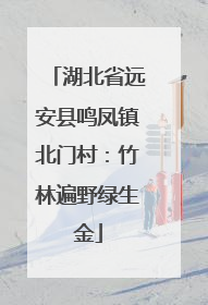 湖北省远安县鸣凤镇北门村：竹林遍野绿生金