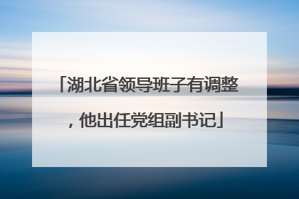 湖北省领导班子有调整，他出任党组副书记