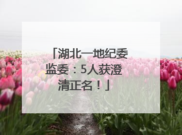 湖北一地纪委监委：5人获澄清正名！