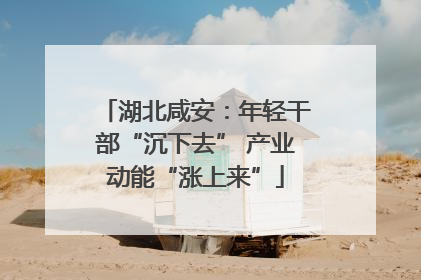 湖北咸安：年轻干部“沉下去” 产业动能“涨上来”