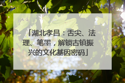 湖北孝昌：舌尖、法理、笔墨，解锁古镇振兴的文化基因密码