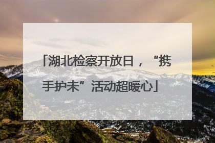 湖北检察开放日，“携手护未”活动超暖心