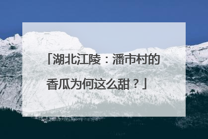 湖北江陵：潘市村的香瓜为何这么甜？