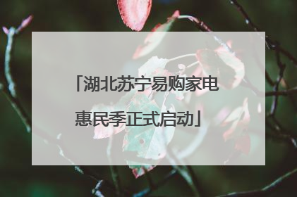 湖北苏宁易购家电惠民季正式启动