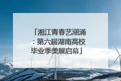 湘江青春艺潮涌：第六届湖南高校毕业季美展启幕
