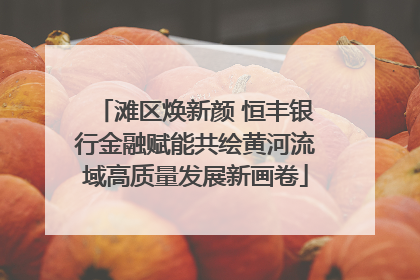 滩区焕新颜 恒丰银行金融赋能共绘黄河流域高质量发展新画卷